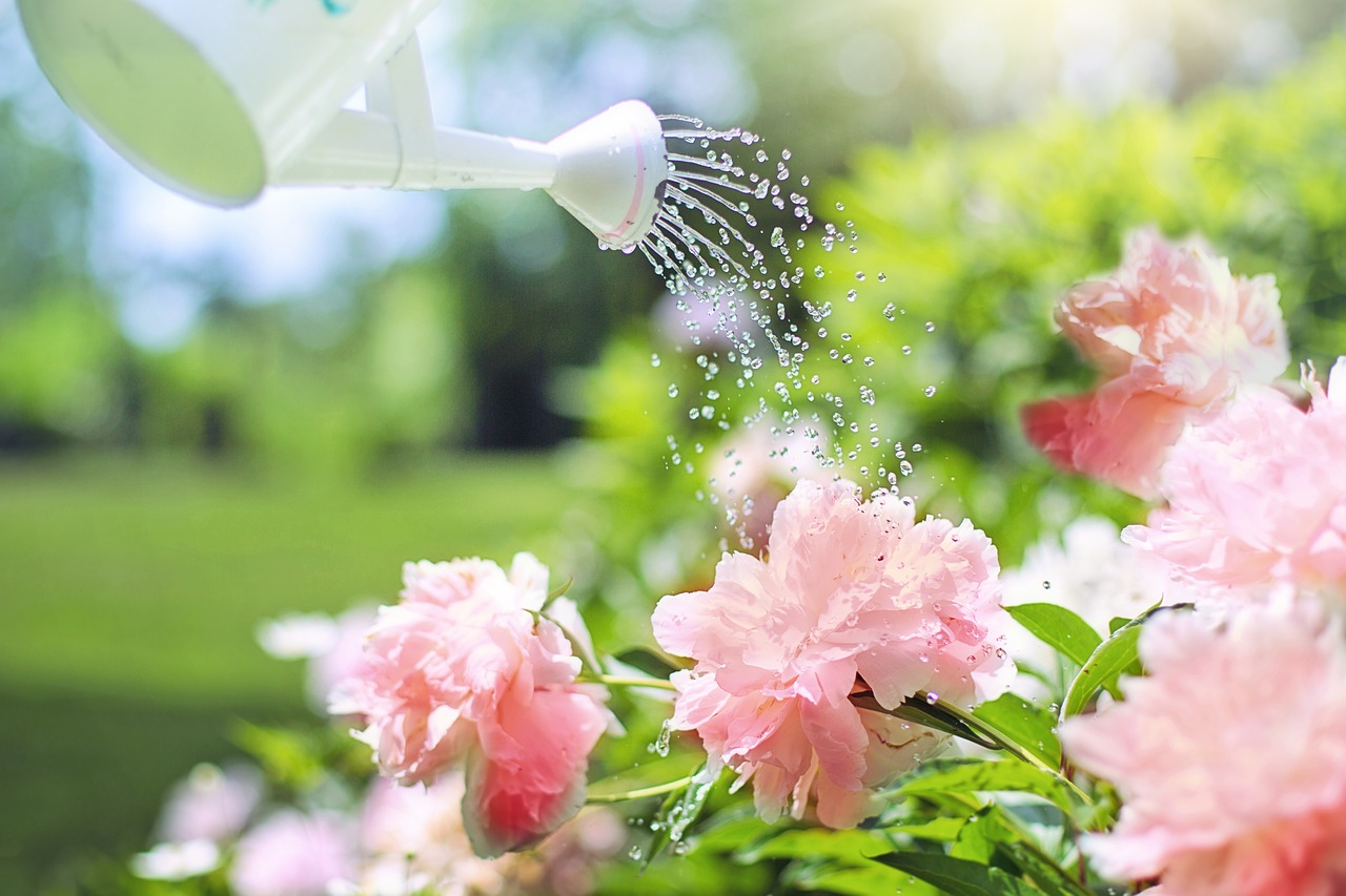 Pourquoi confier l'entretien de son jardin à un professionnel ?